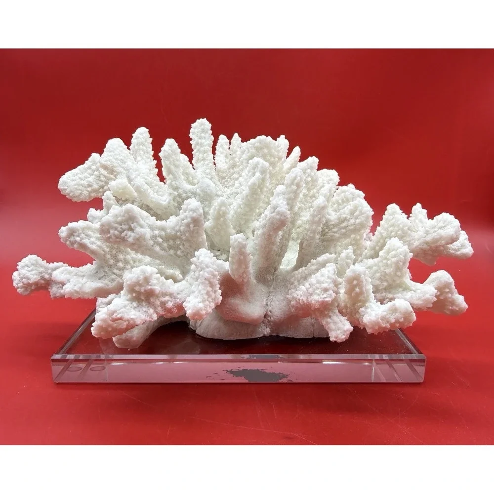 RARE Vintage Faux Large Heavy White Cauliflower Coral 10.5